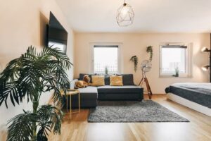 Wohn- und Schlafzimmer