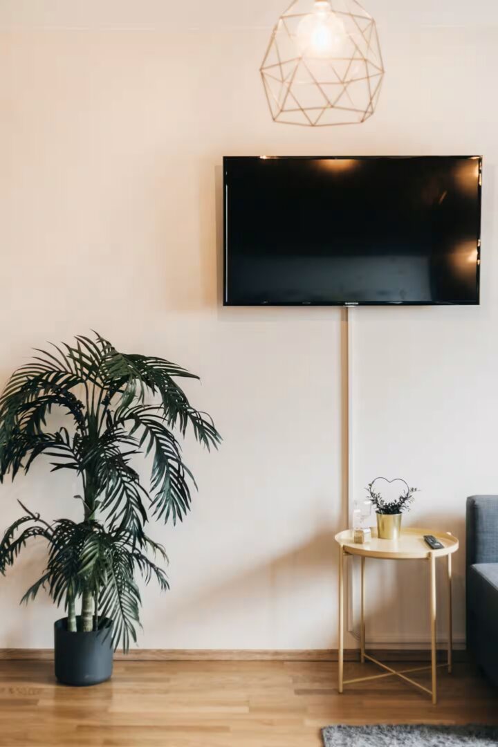TV Wohn- und Schlafzimmer